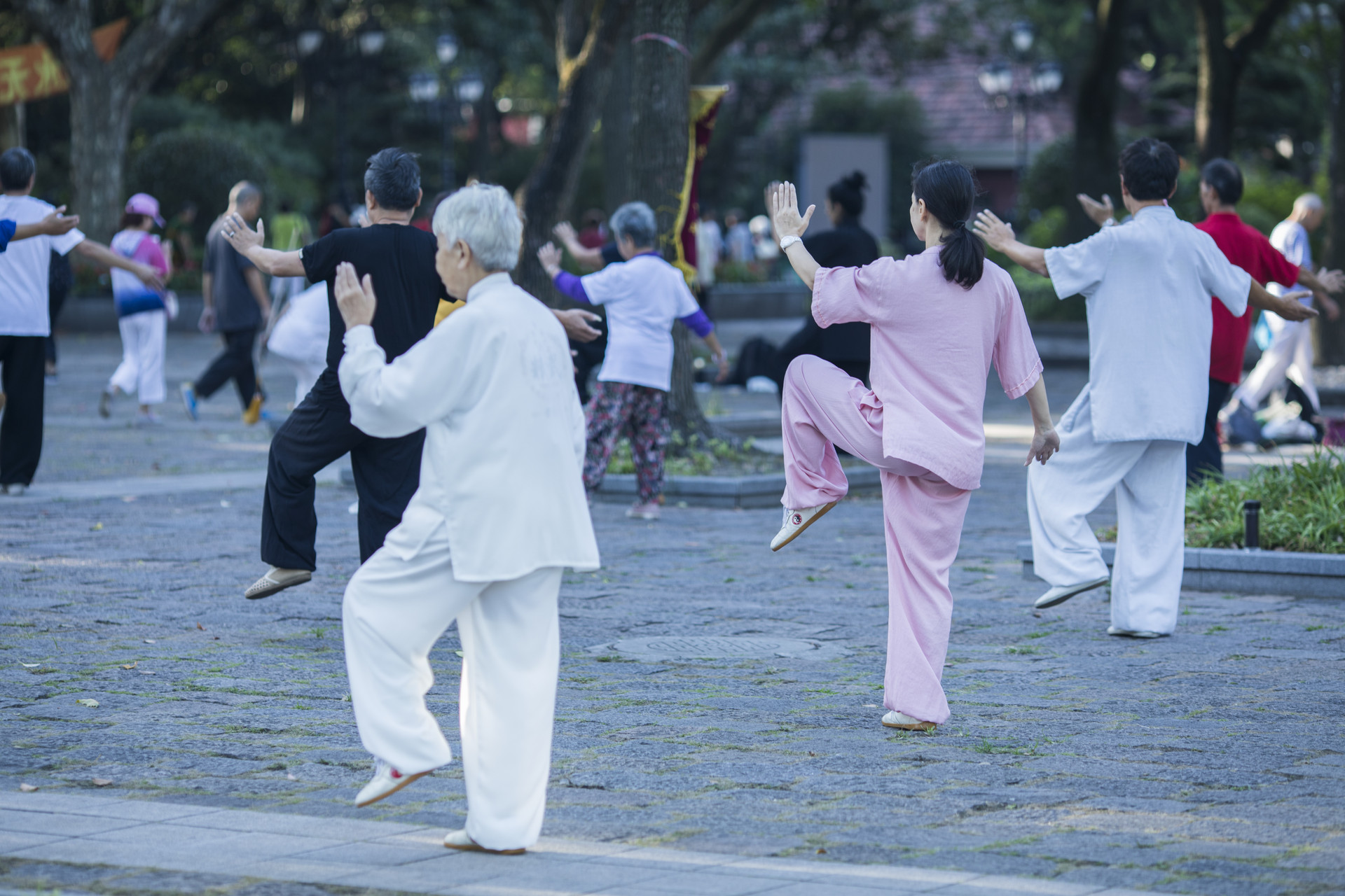 摄图网_500631513_banner_中国传统太极的老年生活 （非企业商用）.jpg